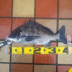 雨の力で、　～辰巳～