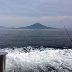 錦江湾の１つテンヤマダイ、時期がちょっと早かったです