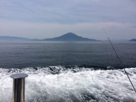 錦江湾の１つテンヤマダイ、時期がちょっと早かったです