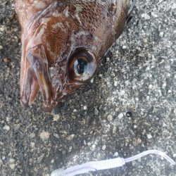 朝練からの穴練