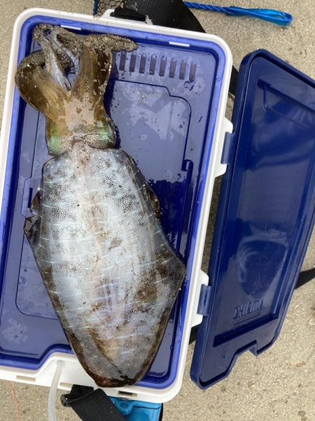 春イカ開幕戦！