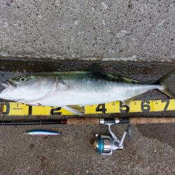 プチsalt water game