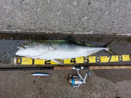 プチsalt water game