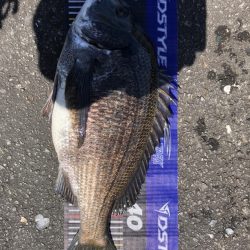 イチノ兄弟、釣果!