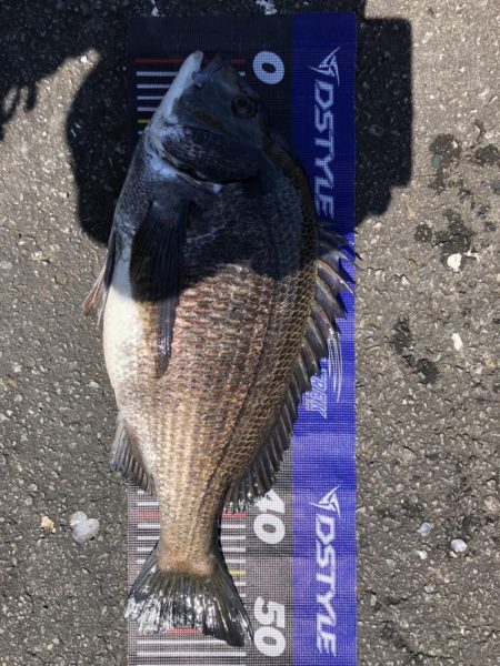 イチノ兄弟、釣果!