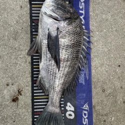 イチノ兄弟、釣果!