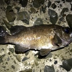 フロートメバリング