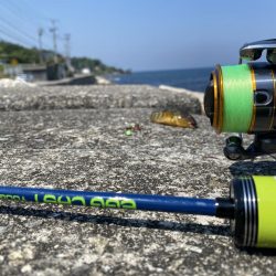 淡路島松帆の浦あたりを探検！果たして何が釣れるのか