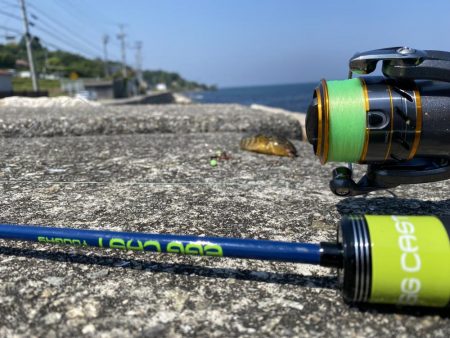 淡路島松帆の浦あたりを探検！果たして何が釣れるのか