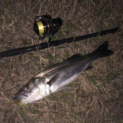 ロングロッドで風と真っ向勝負