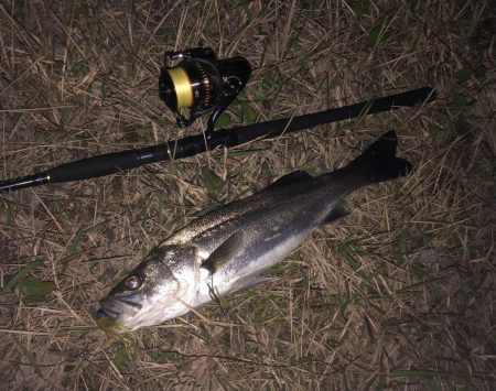 ロングロッドで風と真っ向勝負