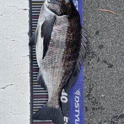 イチノ兄弟、釣果！