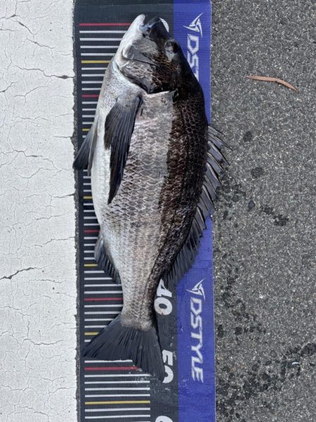 イチノ兄弟、釣果！