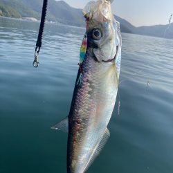 カヤックフィッシング