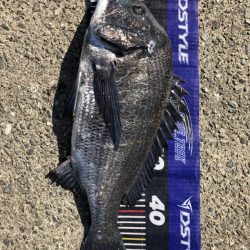 姫路爆釣！（イチノ兄弟）