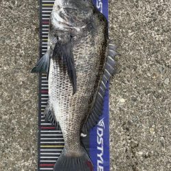 イチノ兄弟、釣果!