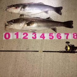 久々のビーストの代表とコラボ