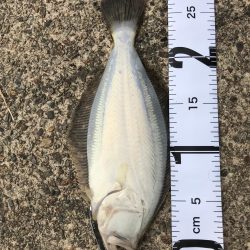 こぶりながらも。