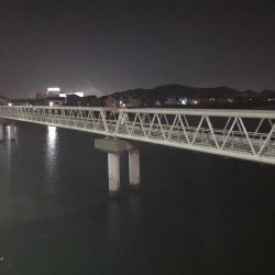 4回通って釣れました！