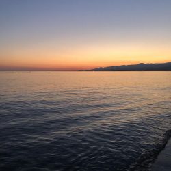 ホタルイカパターン第3弾