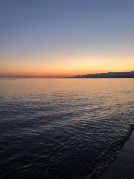 ホタルイカパターン第3弾