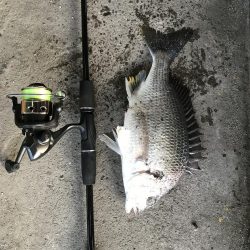 ジグヘッドでエサ釣り