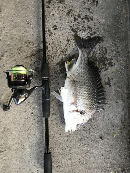 ジグヘッドでエサ釣り
