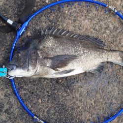 ふかせ釣りに挑戦！！