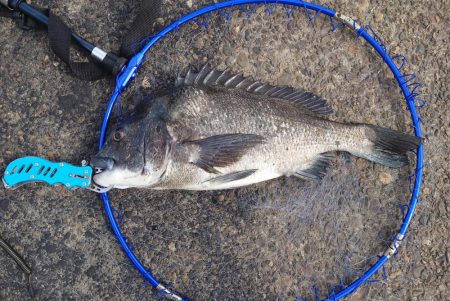 ふかせ釣りに挑戦！！