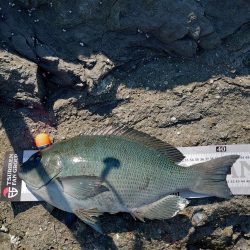 クロ釣り(五島列島)