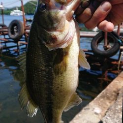 ギル型ポークで2本