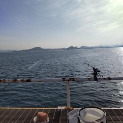 かご釣りで青物