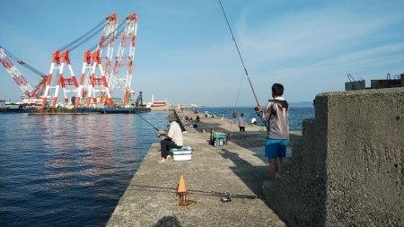 播磨新島のキス釣査