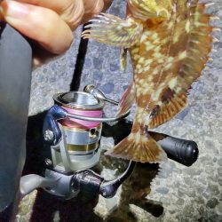 広く探ってきました。