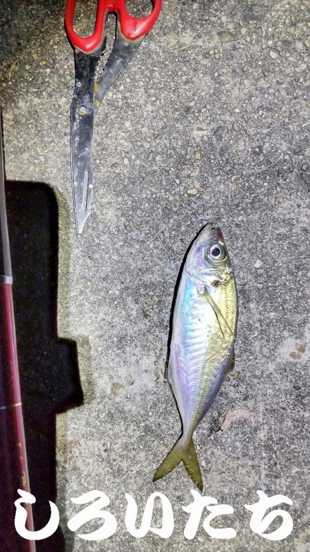 やはり、場所によって釣り方がある。