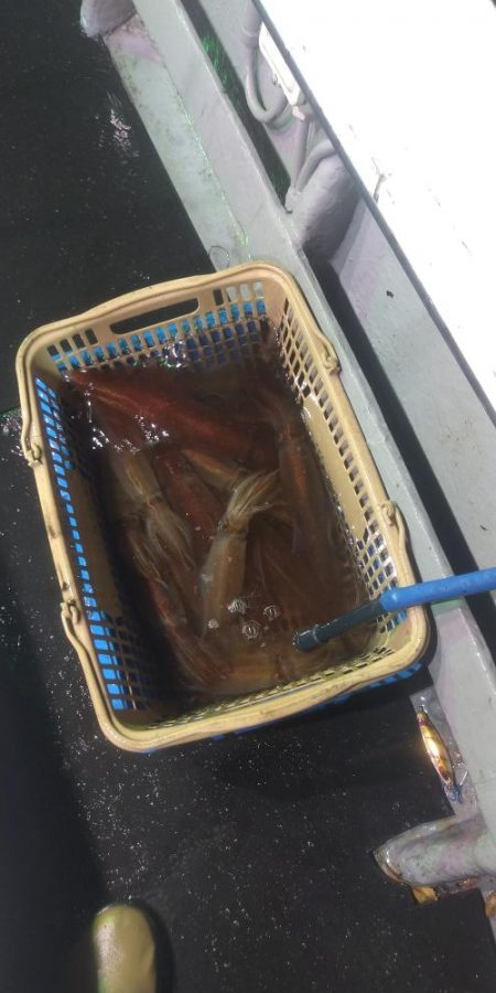 チャーターでわがまま便