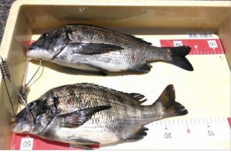 ヨットハーバー冲