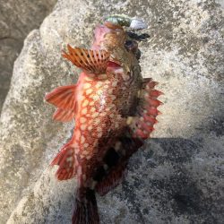 君は浅瀬にいるの?