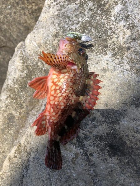 君は浅瀬にいるの?