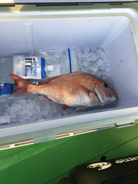 たかたかの夢釣り大会