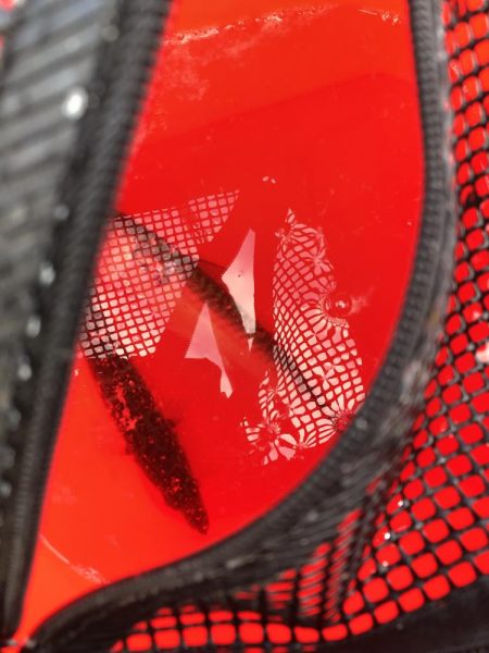 アジング数釣り