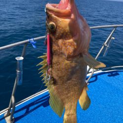 七里ヶ曽根ジギング 渋〜っ❗️