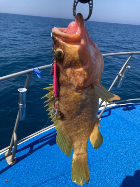 七里ヶ曽根ジギング　渋〜っ❗…
