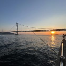 久しぶりのイワシっこ