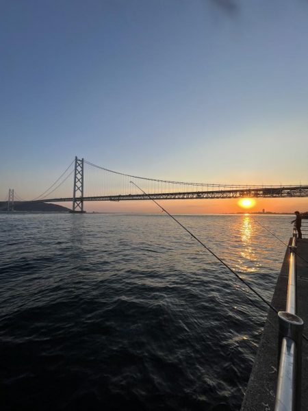 久しぶりのイワシっこ