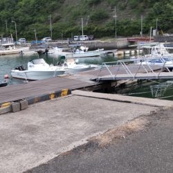 小型だけど・・・