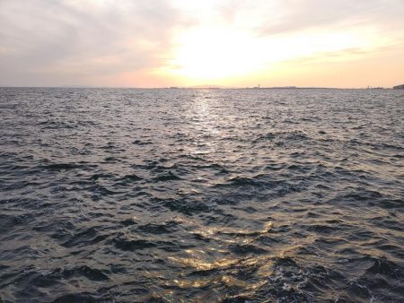 ストップアンドゴーでガシラ、メバル