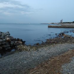 おさえのフロート