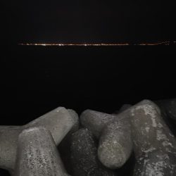 ストップアンドゴー！