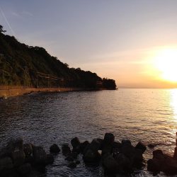 メバル自己最多！